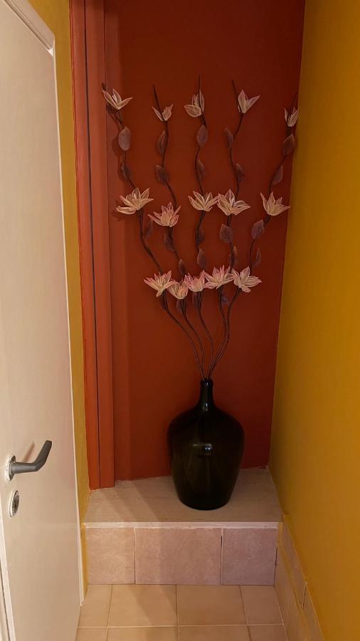 Casa Di Spili - Corfu Old Town Apartment المظهر الخارجي الصورة
